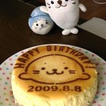 10周年おめでとう! しろたんのお誕生日記念NYチーズケーキ