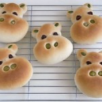 カバパン
