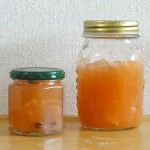 GOPANのゆめぴりかお米食パン