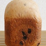GOPANのチョコチップミルク食パン
