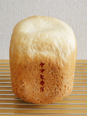 GOPANのヤマヒカリお米食パン。山高に盛り上がる姿が美しい