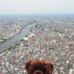東京スカイツリーの展望台から望む