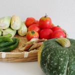 母の手作り無農薬野菜