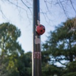 街灯の不思議なてんとう虫