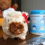 新入りの名前は「ケイト」です
