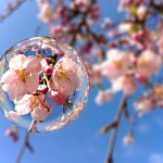 アスキーPC誌5月号に連載中です！