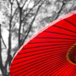 赤い和傘