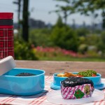 お弁当を持って公園でランチ