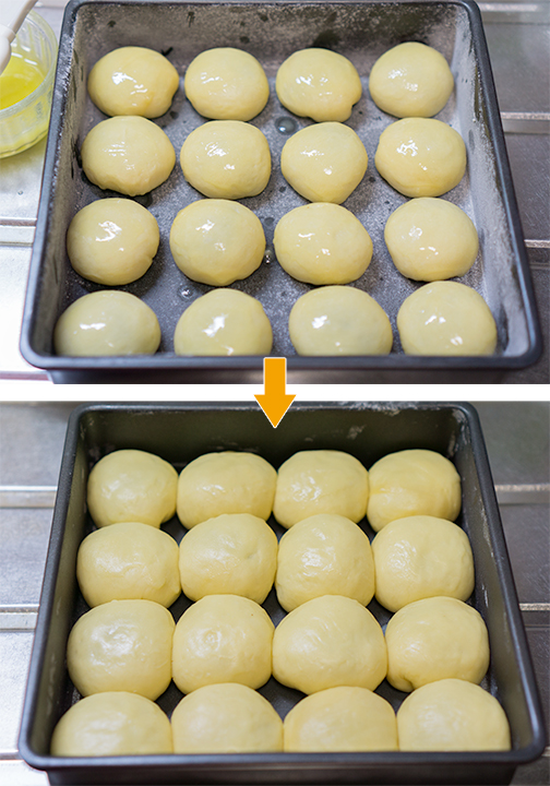 バターを塗って発酵。下が発酵後。